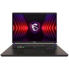 MSI Vector 17 HX A14VGG-245CZ Gray (9S7-17S262-245)