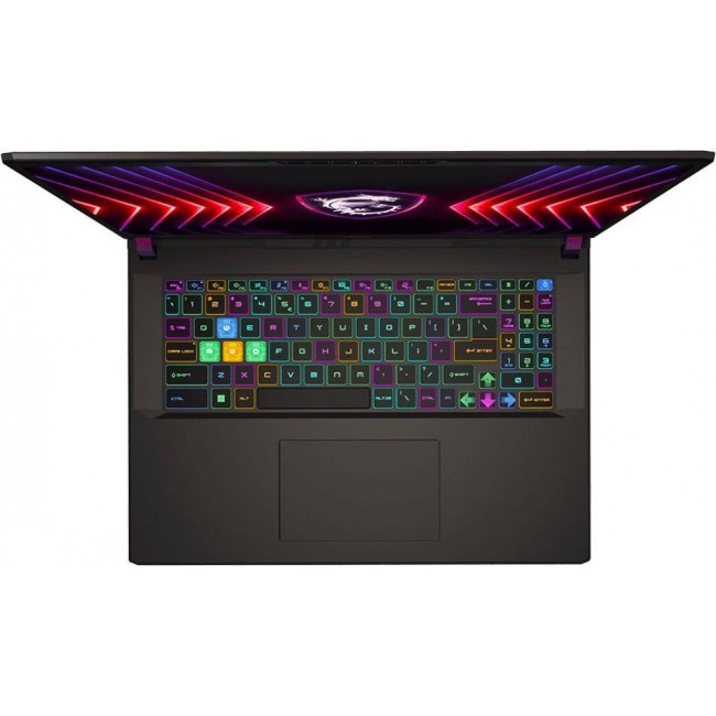 MSI Vector 17 HX A14VGG-245CZ Gray (9S7-17S262-245)