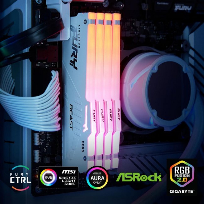 Kingston FURY 16 GB DDR5 5600 MHz Beast EXPO White (KF556C36BWE-16)