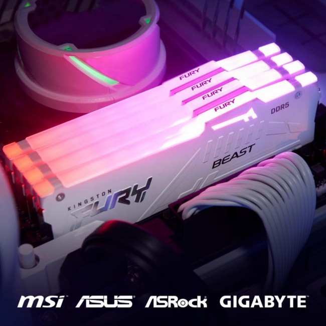Kingston FURY 16 GB DDR5 5600 MHz Beast EXPO White (KF556C36BWE-16)