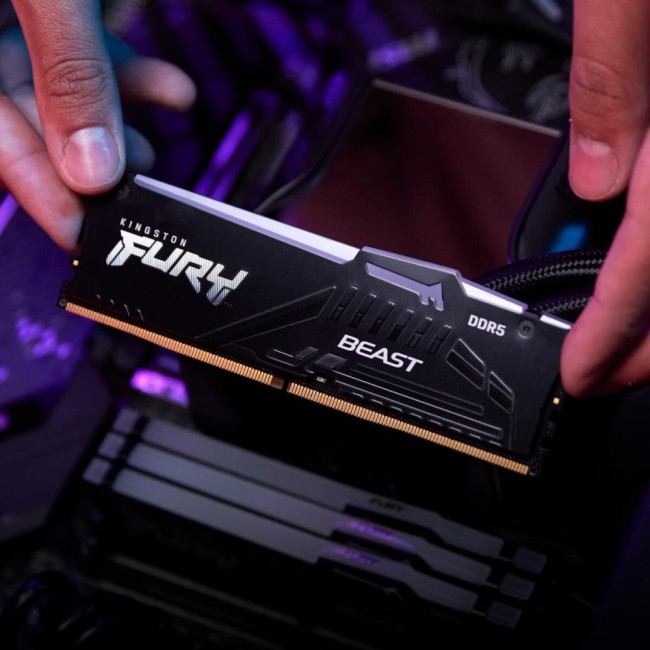 Kingston FURY 16 GB DDR5 6000 MHz Beast RGB EXPO (KF560C30BBEA-16)
