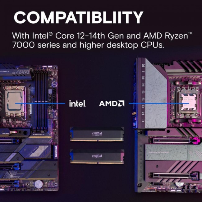 Crucial 16 GB DDR5 6000 MHz Pro Overclocking (CP16G60C36U5B)