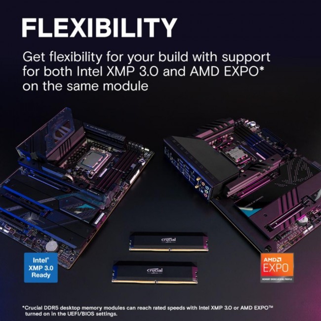 Crucial 16 GB DDR5 6000 MHz Pro Overclocking (CP16G60C36U5B)