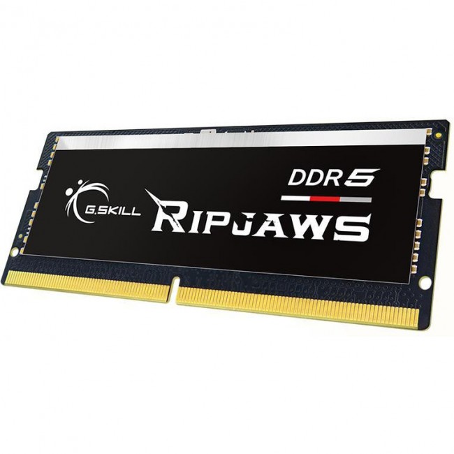 G.Skill 16 GB SO-DIMM DDR5 4800 MHz Ripjaws (F5-4800S3434A16GX1-RS)