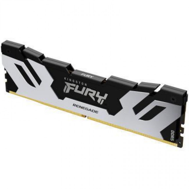 Kingston FURY 24 GB DDR5 7200 MHz Renegade Silver (KF572C38RS-24)