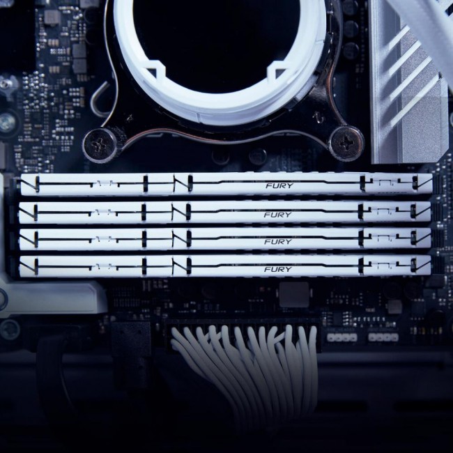 Kingston FURY 32 GB DDR5 5600 MHz Beast White EXPO (KF556C36BWE-32)