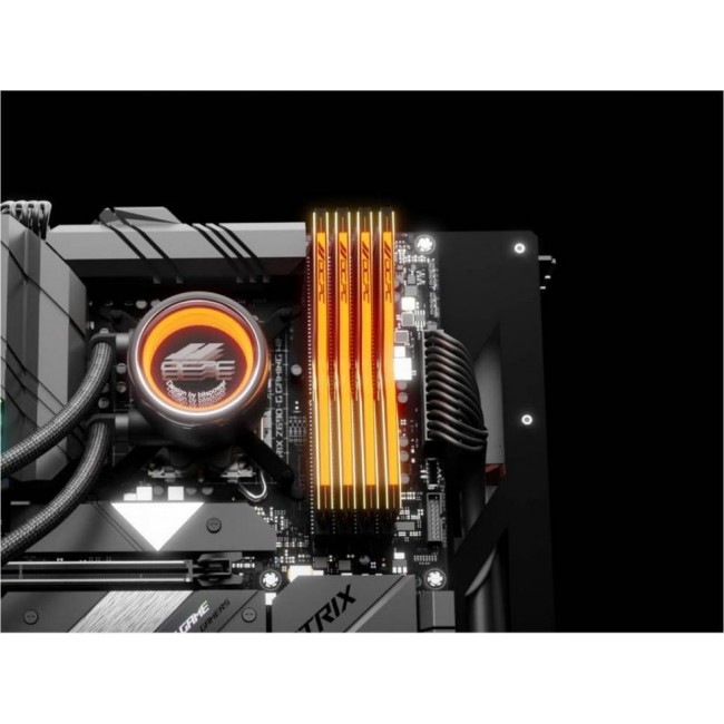 OCPC 32 GB (2x16GB) DDR5 6600 MHz Pista Black Label (MMPT2K32GD566C40BL)