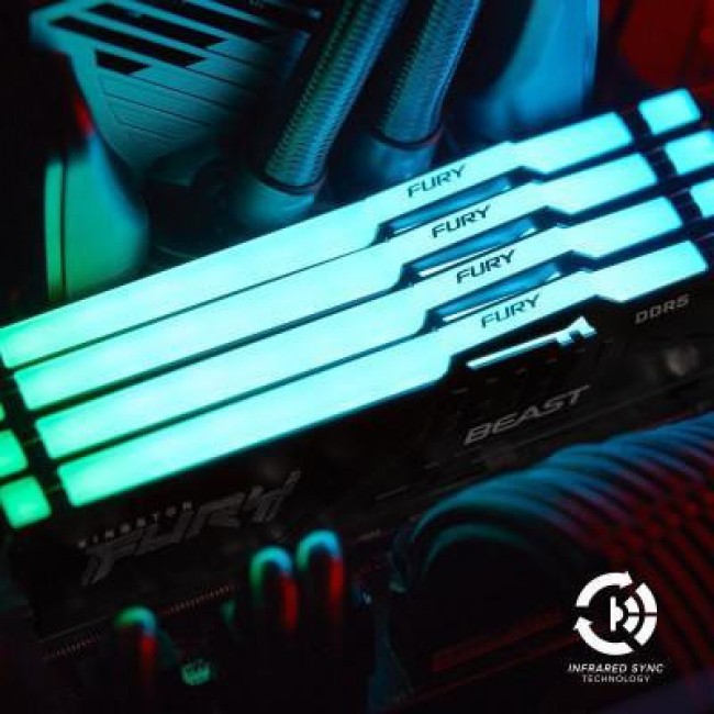 Kingston FURY 64 GB (2x32GB) DDR5 5600 MHz Beast RGB EXPO (KF556C36BBEAK2-64)