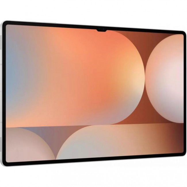 Samsung Galaxy Tab S10 Ultra 12/256GB Platinum Silver (SM-X920NZSR)