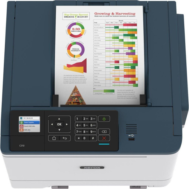 Принтер Xerox C310 + Wi-Fi (C310V_DNI)