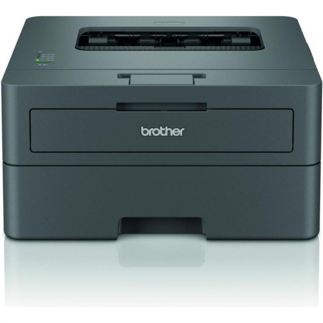 Brother HL-L2402D (HLL2402DYJ1)