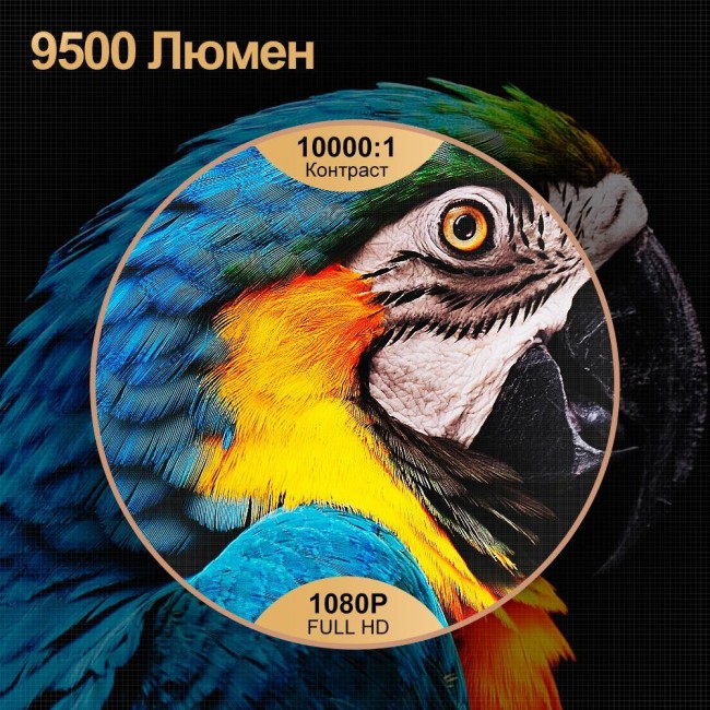 TouYinger Q10 (mirroring version)