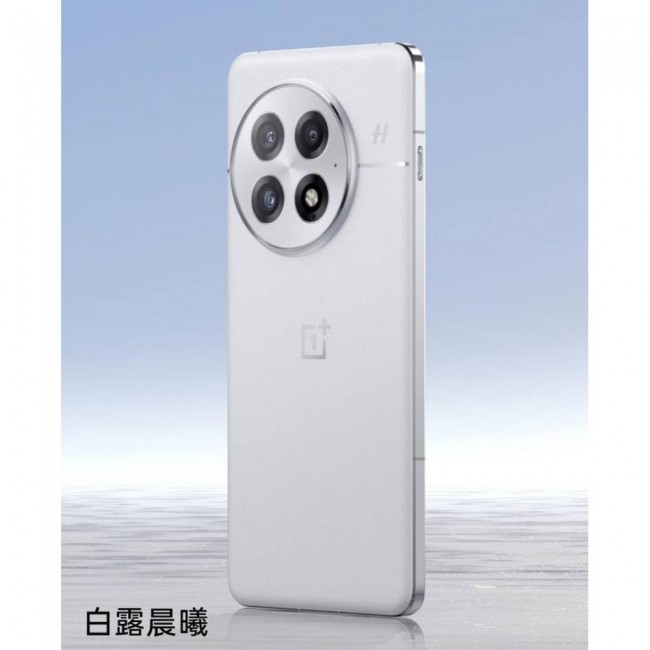 OnePlus 13 12/512GB White