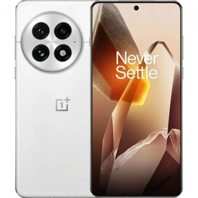 OnePlus 13 24/1TB Arctic Dawn