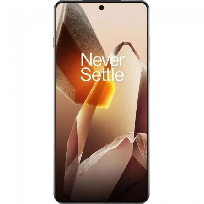 OnePlus 13 24/1TB Arctic Dawn