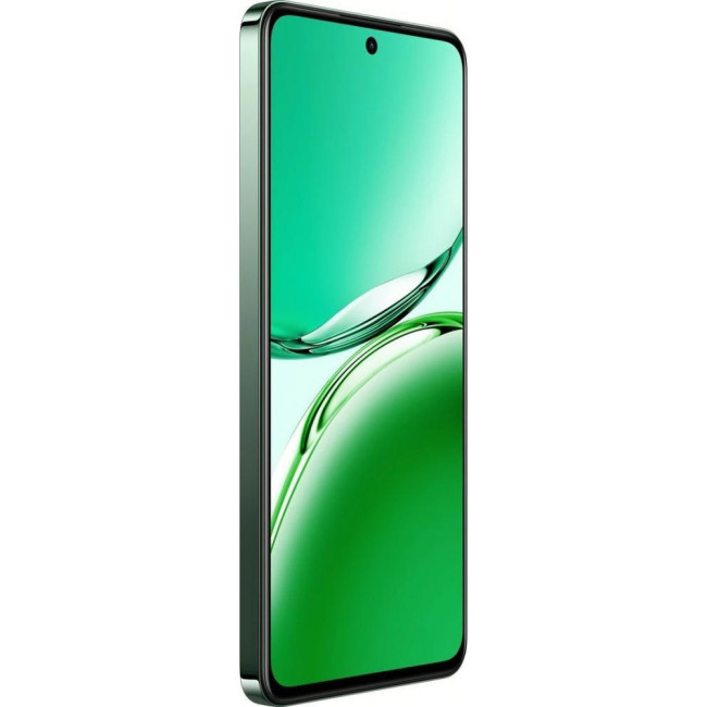Смаpтфон OPPO Reno12 FS 5G 12/512GB Black Green
