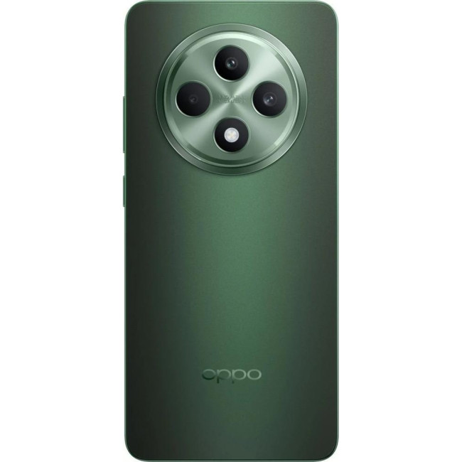 Смаpтфон OPPO Reno12 FS 5G 12/512GB Black Green