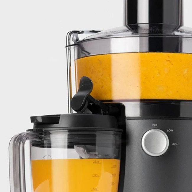 Nutribullet NBJ100G