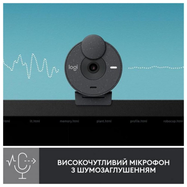 Logitech Brio 300 FHD Graphite (960-001436)