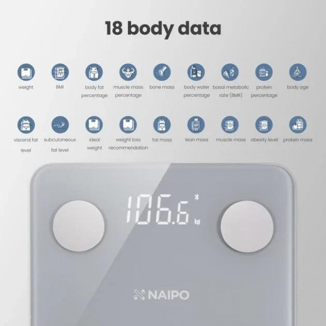 NAIPO NP-BS01