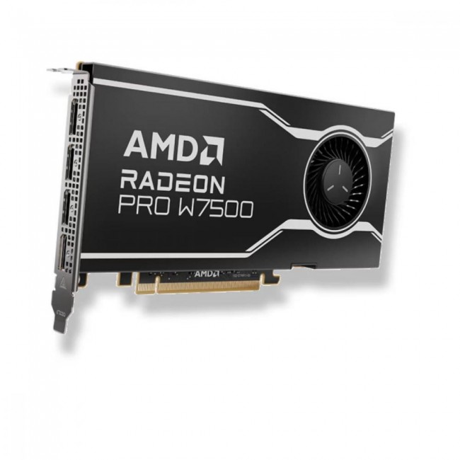 AMD Radeon PRO W7500 8 GB (100-300000078)