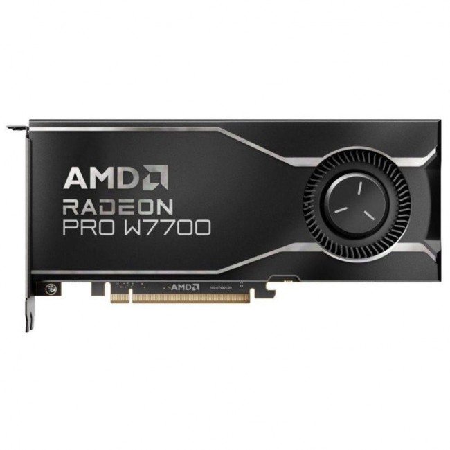 AMD Radeon PRO W7700 16 GB (100-300000006)