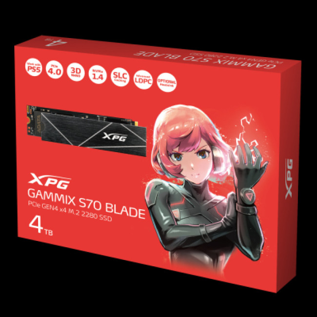 ADATA XPG Gammix S70 Blade 4 TB (AGAMMIXS70B-4T-CS)