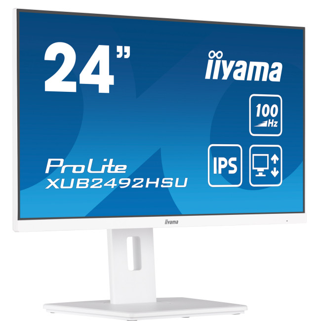 iiyama ProLite XUB2492HSU-W6