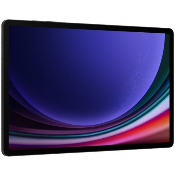 Samsung Galaxy Tab S9+ 12/256GB Wi-Fi Graphite (SM-X810NZAA)
