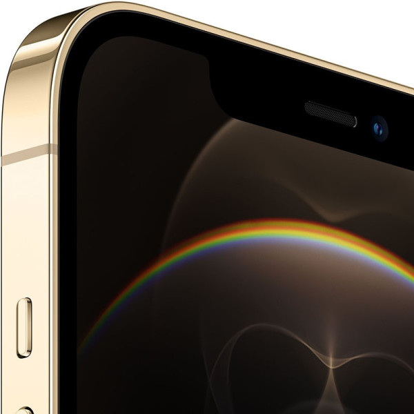 Смартфон Apple iPhone 12 Pro Max 256GB Dual Sim Gold (MGC63)
