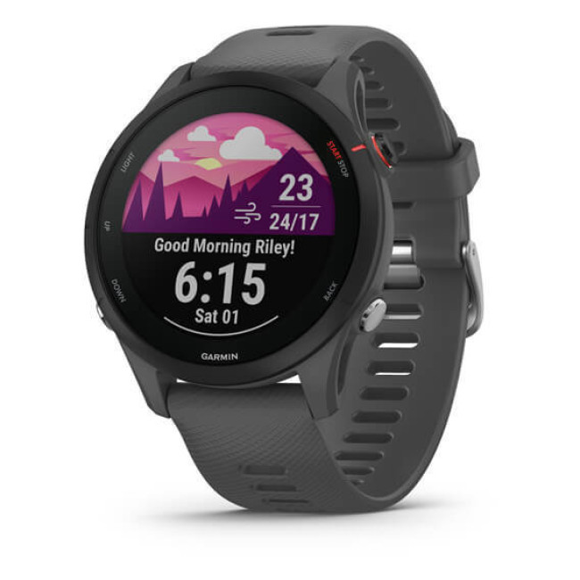 Garmin Forerunner 255 Slate Gray (010-02641-00/10/43)