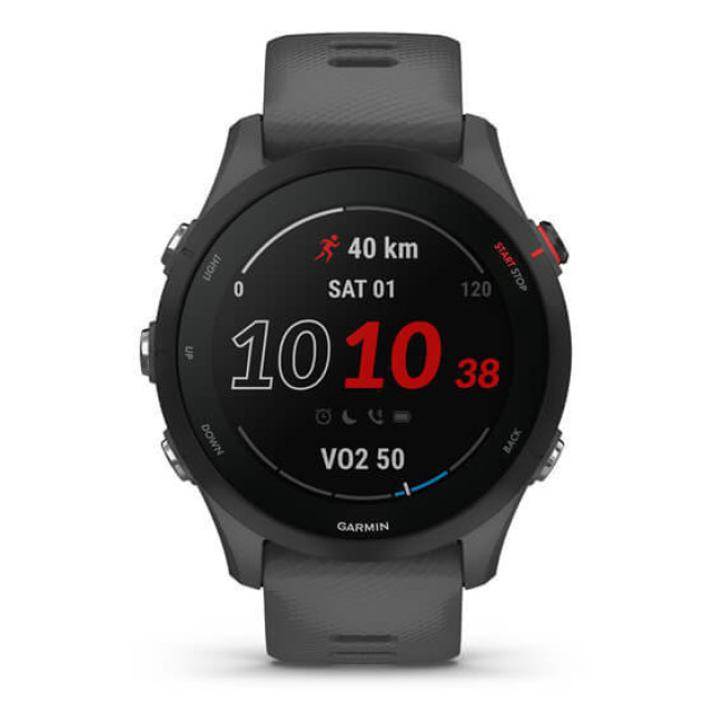 Garmin Forerunner 255 Slate Gray (010-02641-00/10/43)