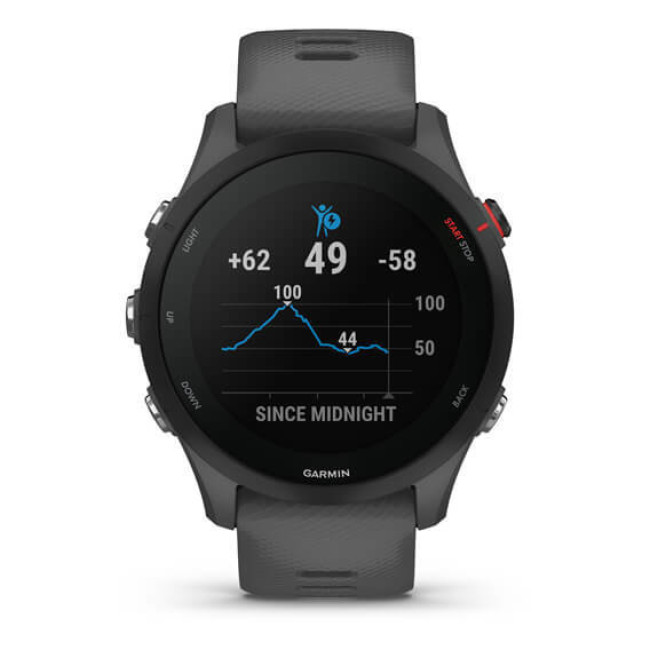 Garmin Forerunner 255 Slate Gray (010-02641-00/10/43)