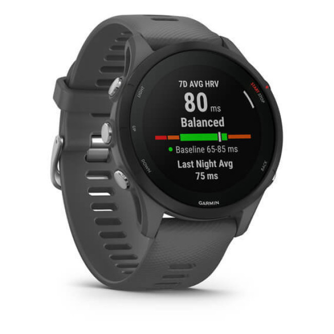 Garmin Forerunner 255 Slate Gray (010-02641-00/10/43)