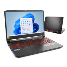 Ноутбук Acer Nitro 5 AN515-56 (NH.QAMEP.00Q)