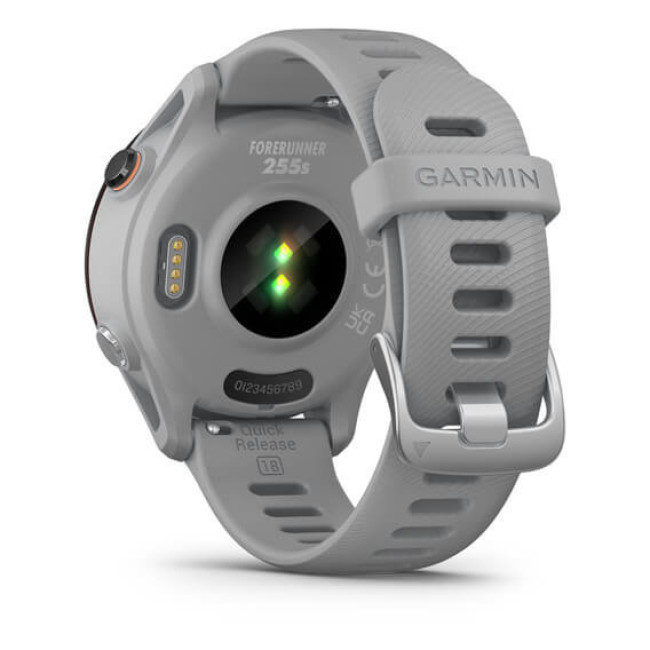 Смарт-часы Garmin Forerunner 255S Powder Gray (010-02641-02/12)