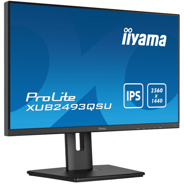 Обзор монитора iiyama ProLite XUB2493QSU-B5