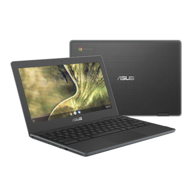 Ноутбук Asus Chromebook C204MA (C204MA-GJ0314)