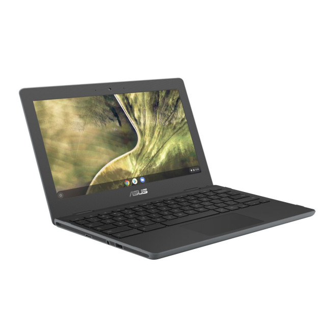 Ноутбук Asus Chromebook C204MA (C204MA-GJ0314)