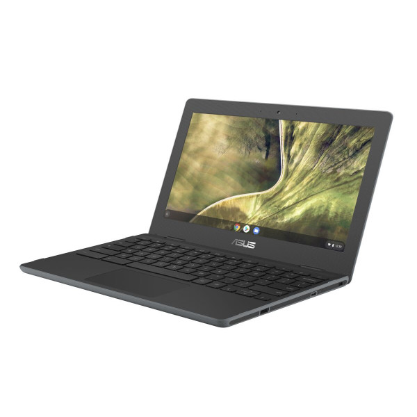 Asus Chromebook C204MA (C204MA-GJ0314)