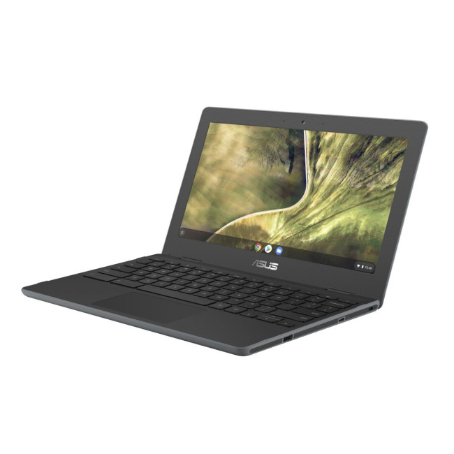 Ноутбук Asus Chromebook C204MA (C204MA-GJ0314)