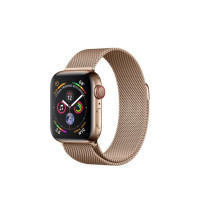 Apple Watch Series 4 GPS + LTE 40mm Gold Steel w. Gold Milanese l. Gold Steel (MTUT2)