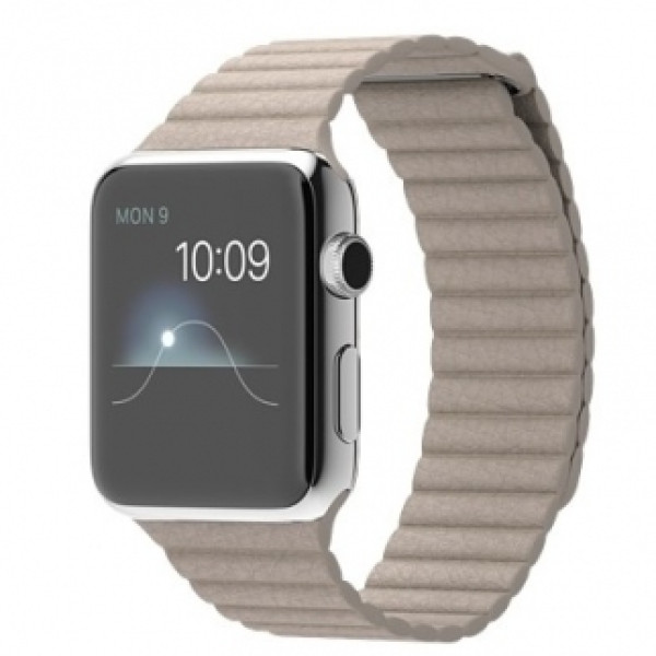 Apple 42mm Stainless Steel Case with Stone Leather Loop (MJ432)