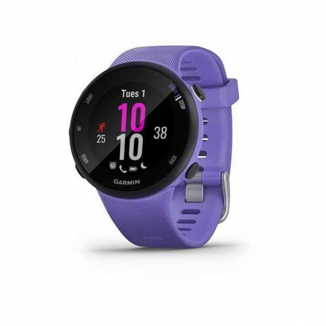 Garmin Forerunner 45s Iris (010-02156-11/010-02156-01)