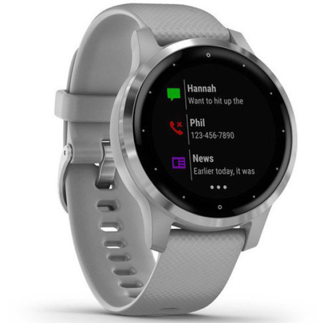 Garmin vivoactive 4S Powder Gray/Silver (010-02172-03/010-02172-01)