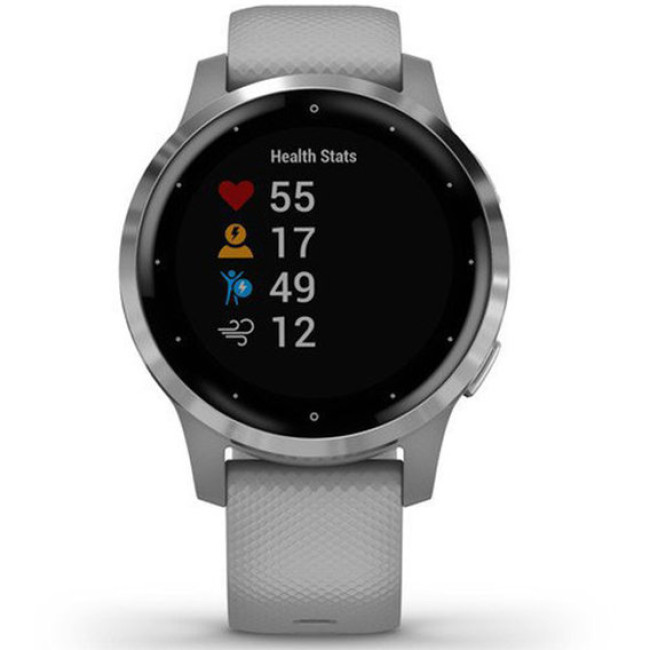 Garmin vivoactive 4S Powder Gray/Silver (010-02172-03/010-02172-01)