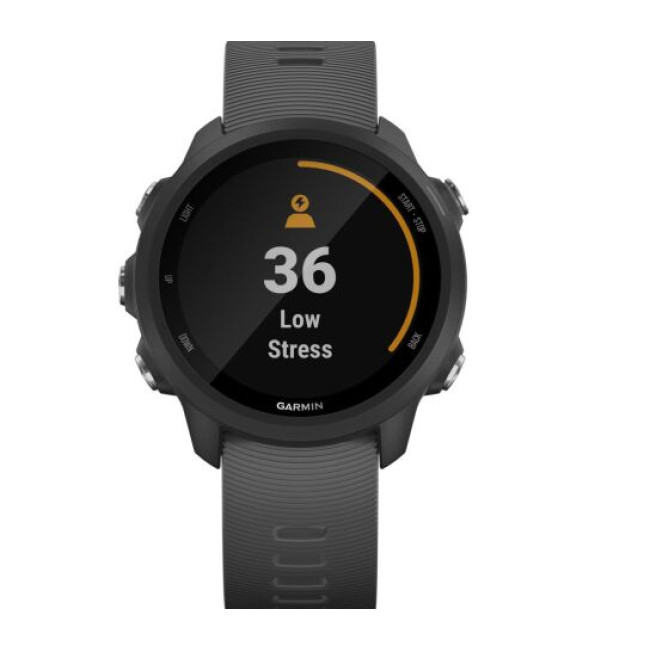 Смарт-часы Garmin Forerunner 245 Slate Gray (010-02120-00)