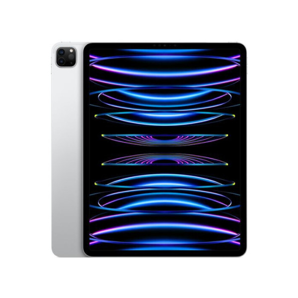 Apple iPad Pro 12.9 2022 Wi-Fi 256GB Silver (MNXT3)