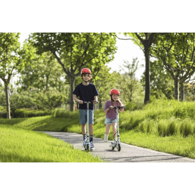 Ninebot eKickScooter ZING C8 (AA.00.0011.61)