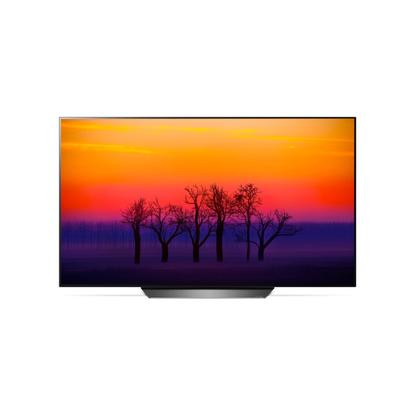 Телевизор LG OLED55B8